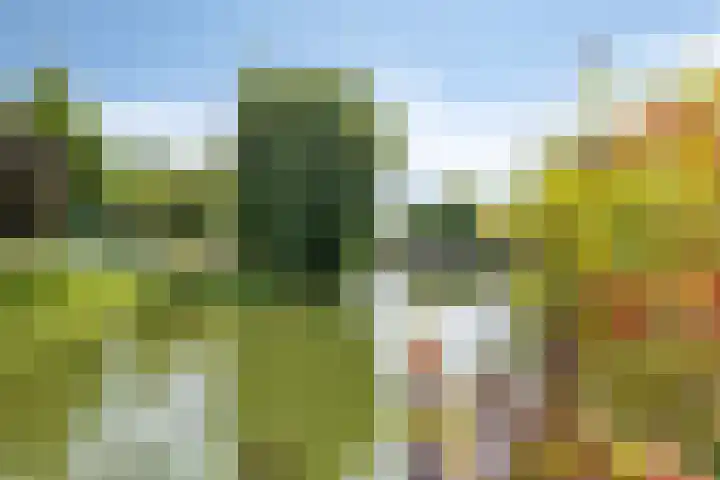 Ahrdal 28 Capelle aan den IJssel thumbnail 29
