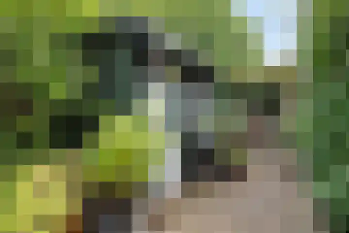 Ahrdal 28 Capelle aan den IJssel thumbnail 30