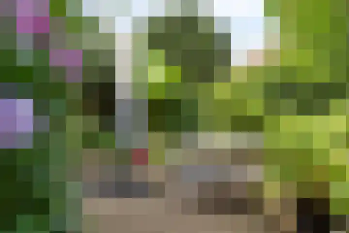Ahrdal 28 Capelle aan den IJssel thumbnail 31