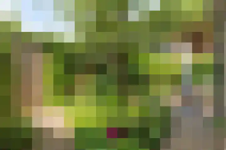 Ahrdal 28 Capelle aan den IJssel thumbnail 32