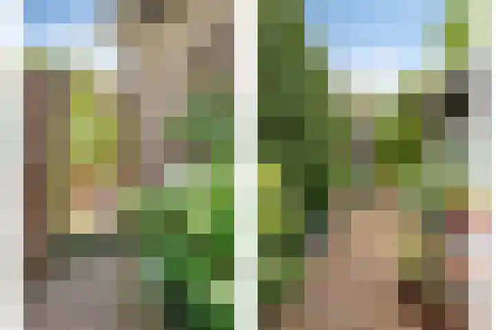 Ahrdal 28 Capelle aan den IJssel thumbnail 33