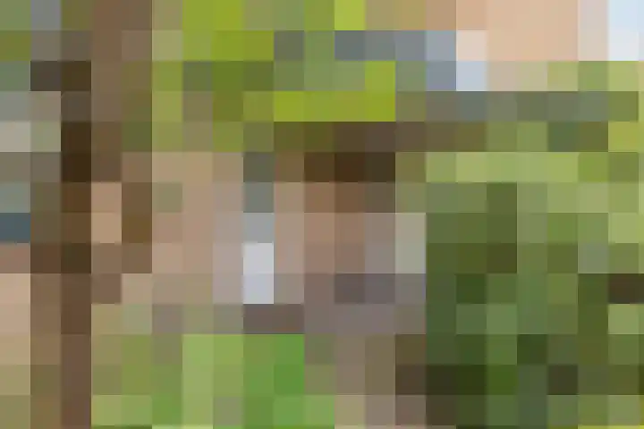 Ahrdal 28 Capelle aan den IJssel thumbnail 34