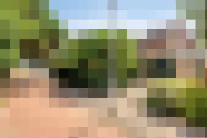 Ahrdal 28 Capelle aan den IJssel thumbnail 35