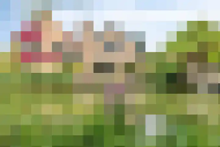Ahrdal 28 Capelle aan den IJssel thumbnail 36