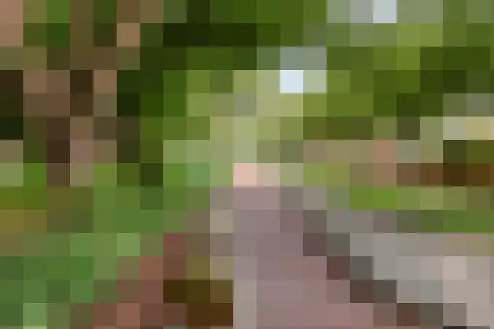 Ahrdal 28 Capelle aan den IJssel thumbnail 37
