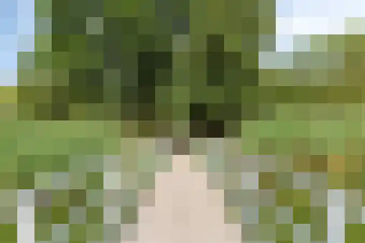 Ahrdal 28 Capelle aan den IJssel thumbnail 38