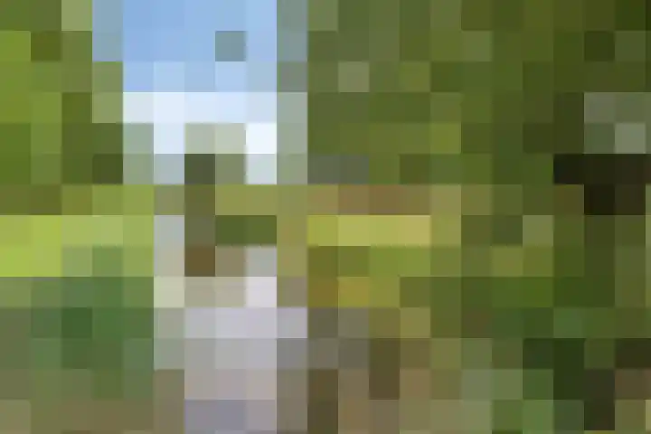 Ahrdal 28 Capelle aan den IJssel thumbnail 39