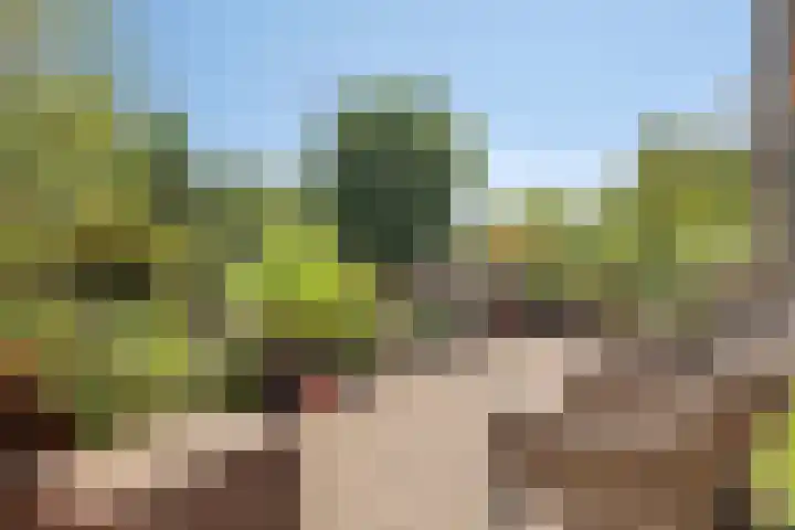 Ahrdal 28 Capelle aan den IJssel thumbnail 4