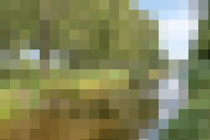 Ahrdal 28 Capelle aan den IJssel thumbnail 40