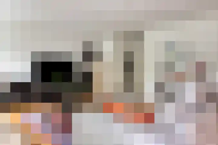 Ahrdal 28 Capelle aan den IJssel thumbnail 7