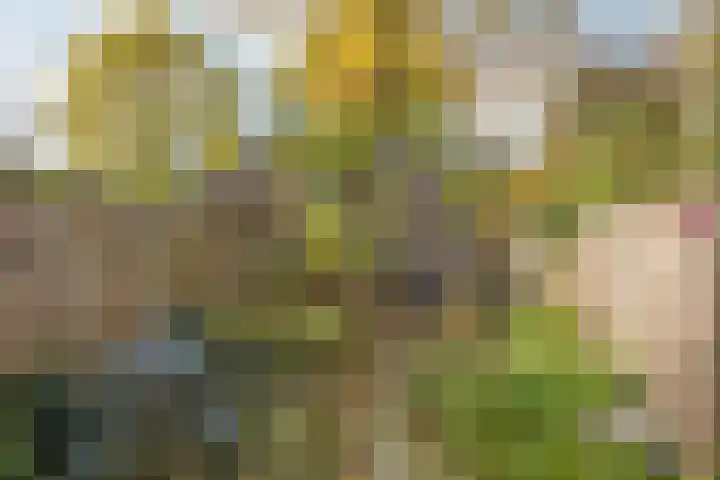 Ahuislanden 31 Enschede thumbnail 26