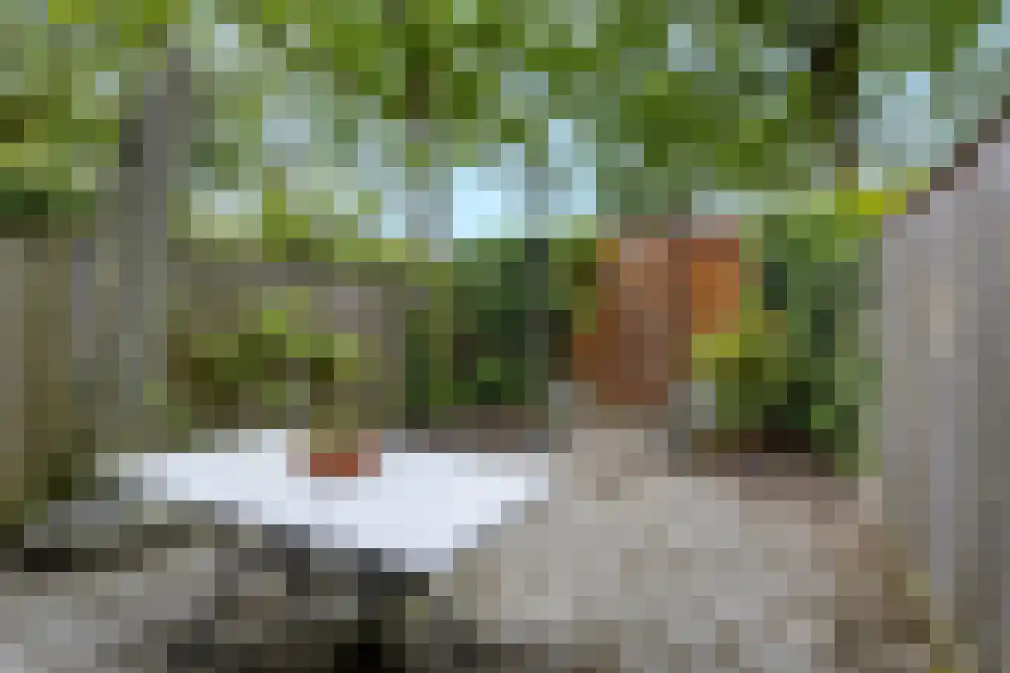 Ahuislanden 66 Enschede thumbnail 28