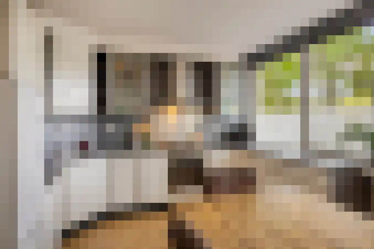 Ahuislanden 82 Enschede thumbnail 15