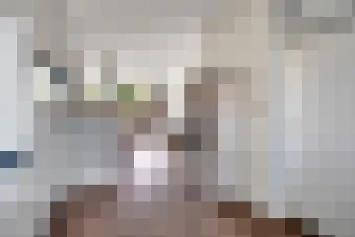 Ahuislanden 90 Enschede thumbnail 18