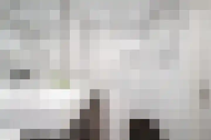 Ahuislanden 90 Enschede thumbnail 31