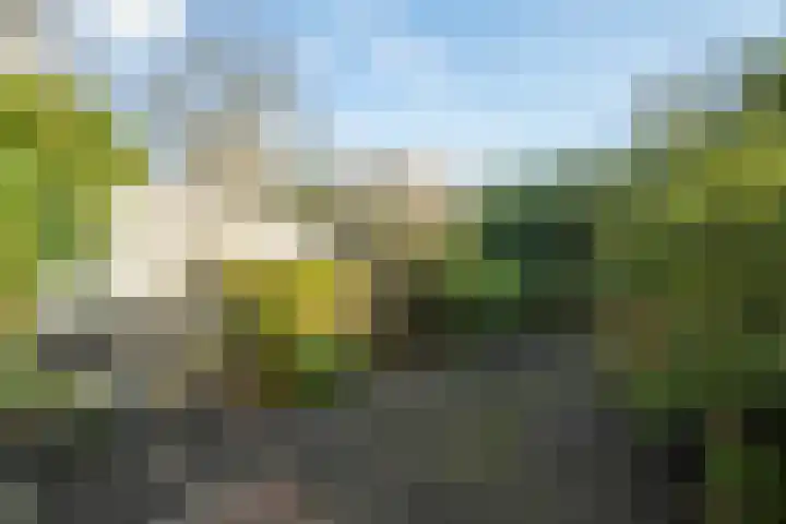 Ahuislanden 90 Enschede thumbnail 4