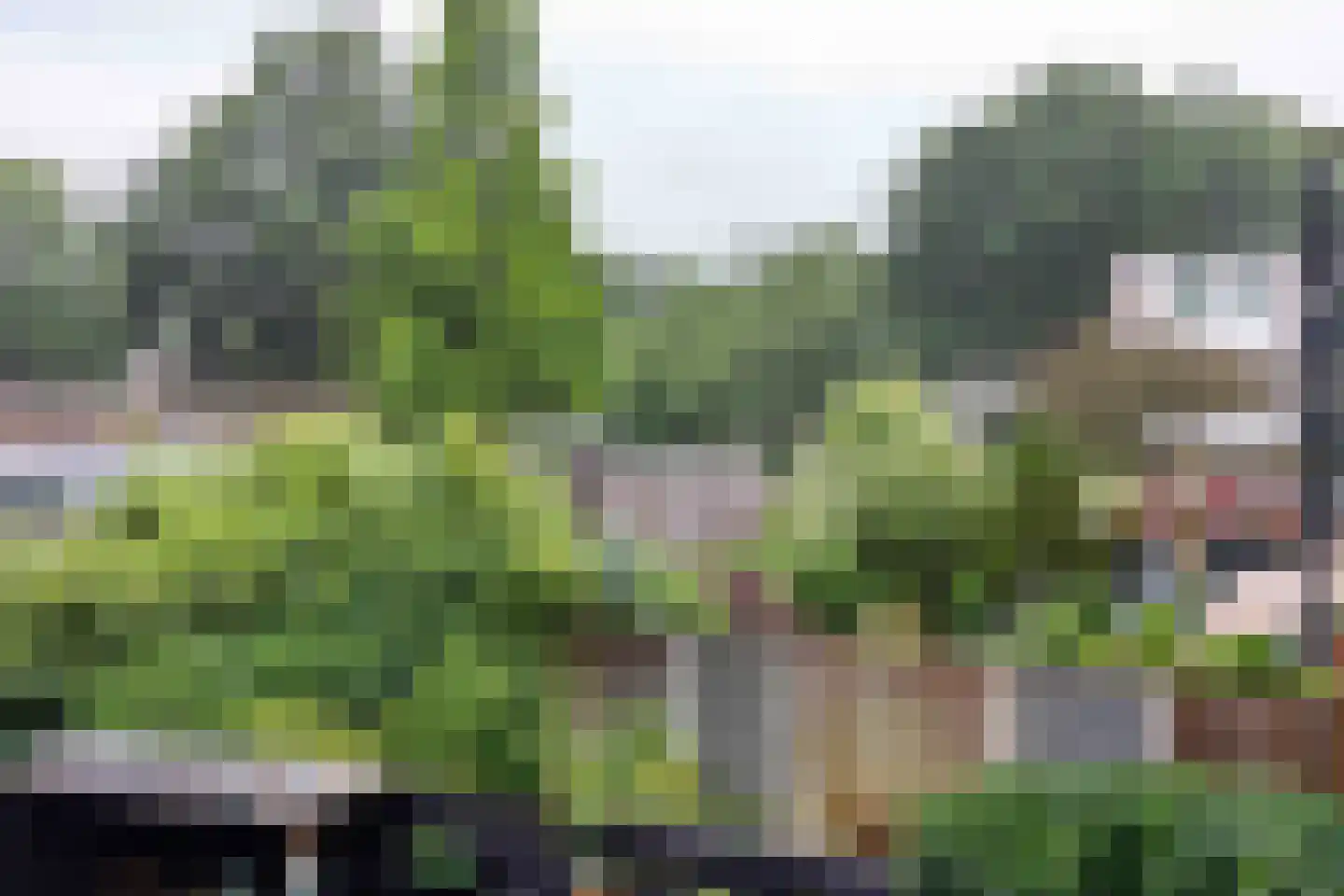 Ahuislanden 94 Enschede thumbnail 18
