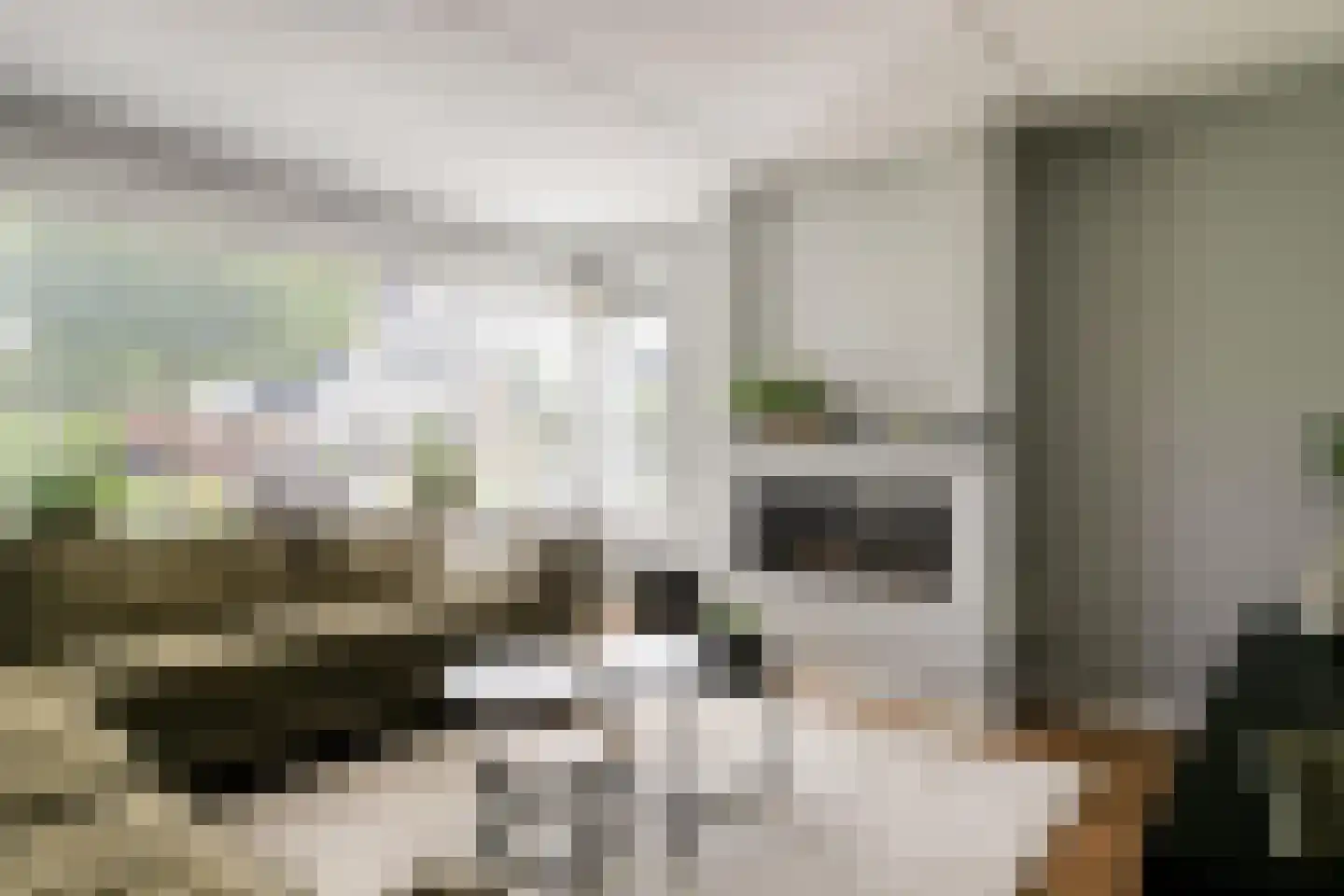 Aïda 19 Kampen thumbnail 4