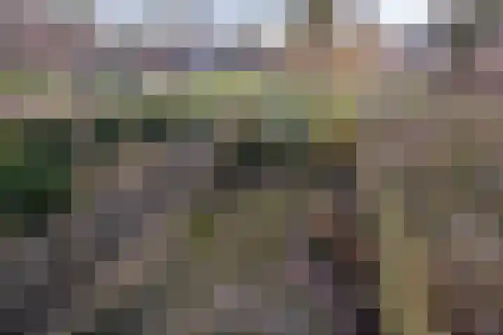 Aïda 30 Capelle aan den IJssel thumbnail 30