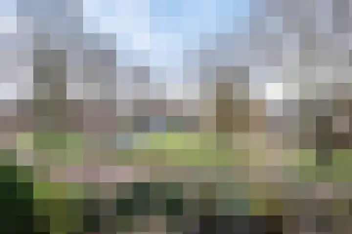 Aïda 30 Capelle aan den IJssel thumbnail 31