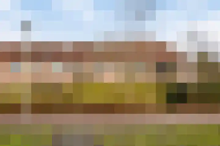 Aïda 30 Capelle aan den IJssel thumbnail 32