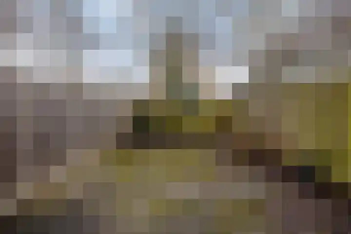 Aïda 30 Capelle aan den IJssel thumbnail 4