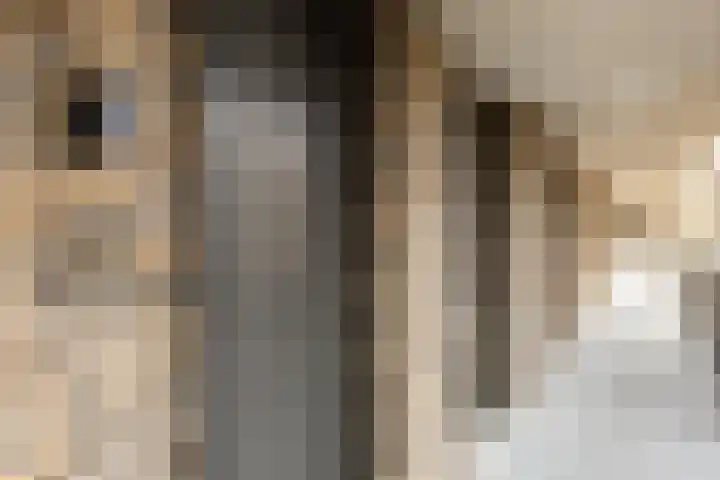 Aida de Mirandaplein 25 Breda thumbnail 18