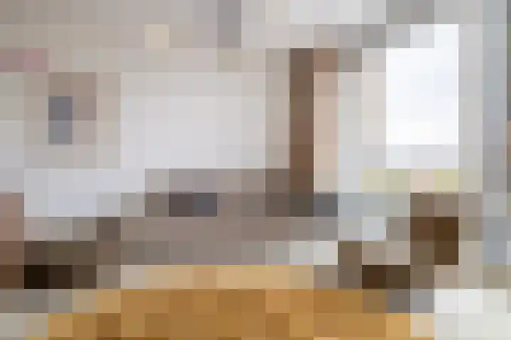 Aida de Mirandaplein 69 Breda thumbnail 18