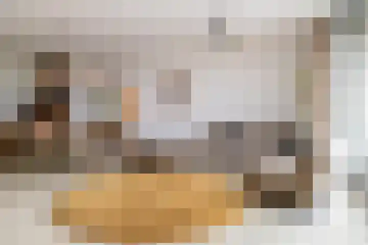 Aida de Mirandaplein 69 Breda thumbnail 19