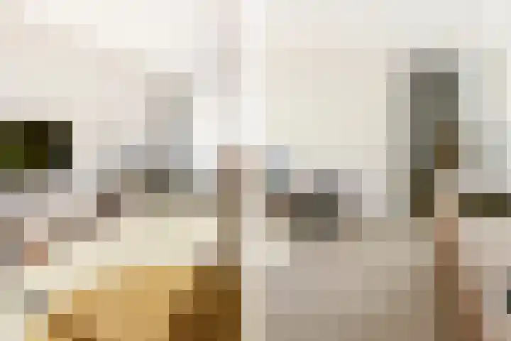 Aida de Mirandaplein 69 Breda thumbnail 23