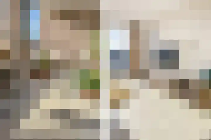 Aida de Mirandaplein 69 Breda thumbnail 24