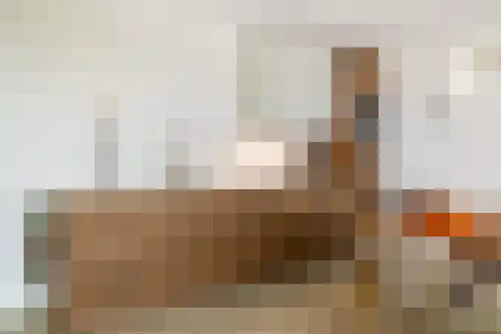Aida de Mirandaplein 69 Breda thumbnail 29
