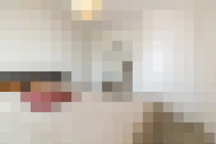 Aida de Mirandaplein 69 Breda thumbnail 35