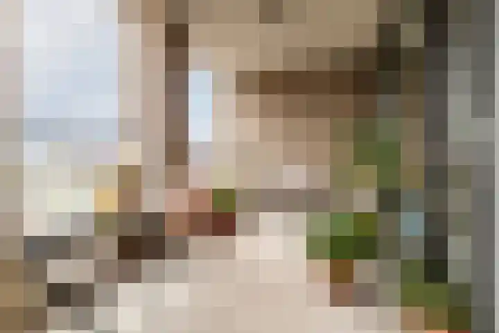 Aida de Mirandaplein 69 Breda thumbnail 5