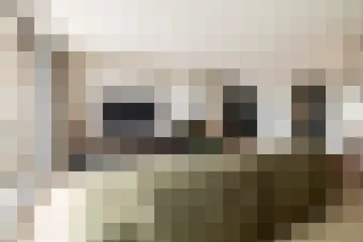 Aida de Mirandaplein 77 Breda thumbnail 15