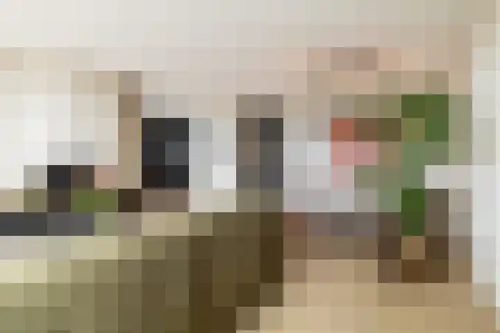 Aida de Mirandaplein 77 Breda thumbnail 16