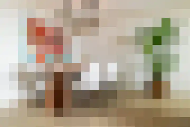 Aida de Mirandaplein 77 Breda thumbnail 17