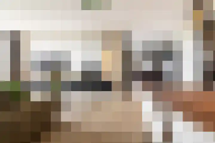 Aida de Mirandaplein 77 Breda thumbnail 18