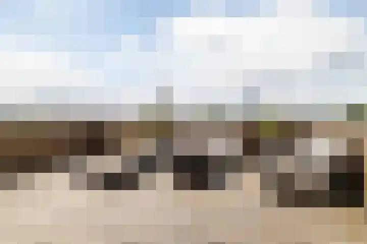 Aida de Mirandaplein 77 Breda thumbnail 28