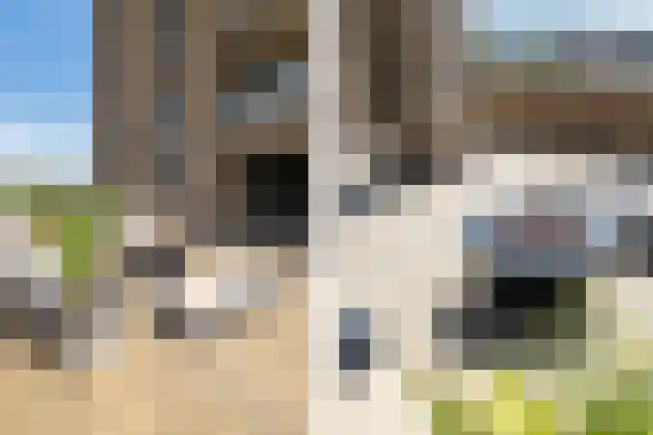 Aida de Mirandaplein 77 Breda thumbnail 30