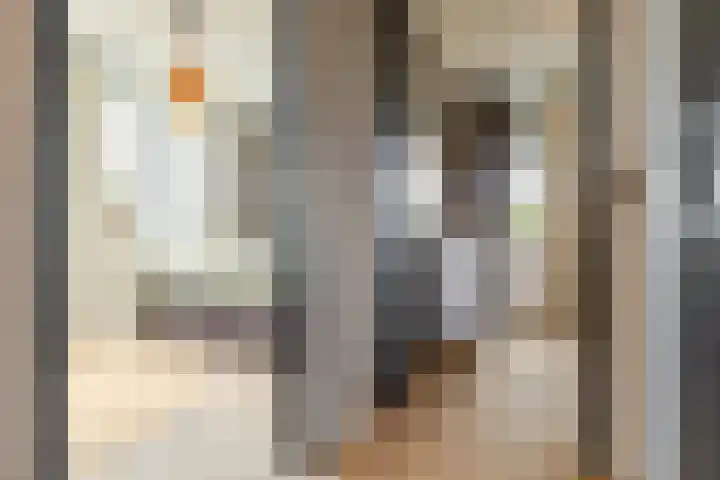 Aida de Mirandaplein 77 Breda thumbnail 37