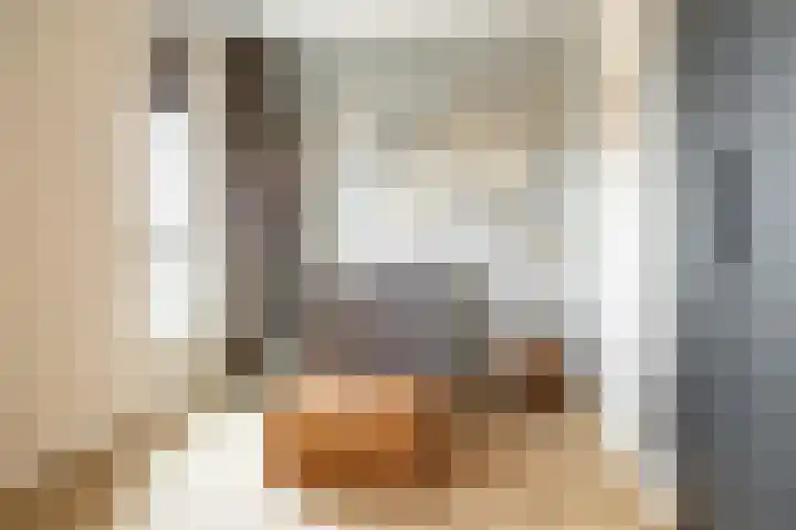 Aida de Mirandaplein 77 Breda thumbnail 42