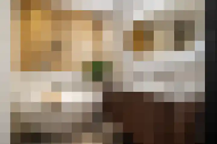 Aida de Mirandaplein 77 Breda thumbnail 45