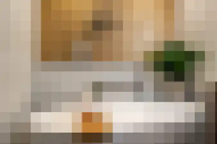 Aida de Mirandaplein 77 Breda thumbnail 46