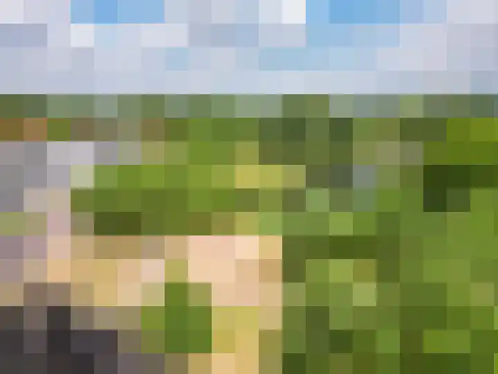 Aida de Mirandaplein 77 Breda thumbnail 53