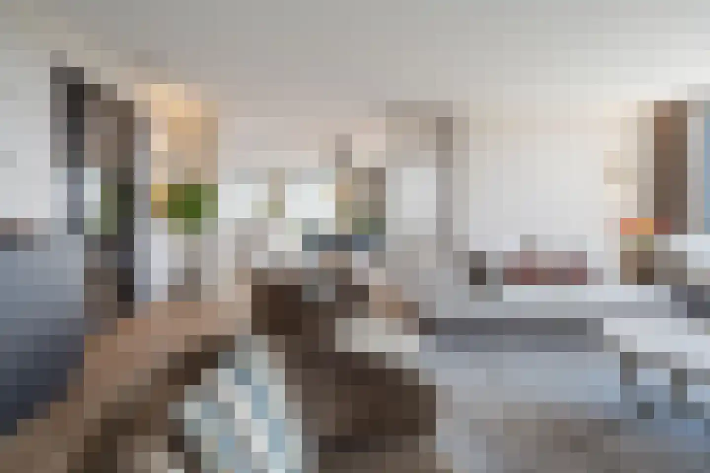 Aida de Mirandaplein 91 Breda thumbnail 18