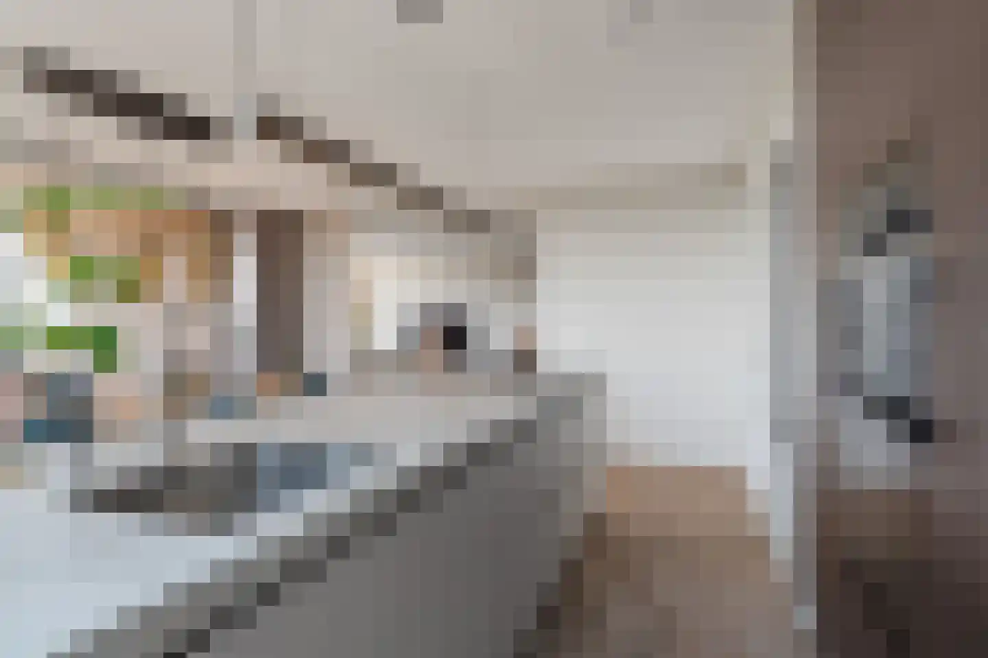 Aida de Mirandaplein 91 Breda thumbnail 34