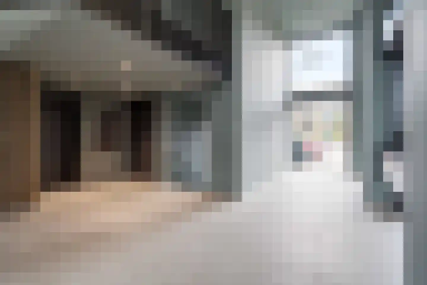 Aida de Mirandaplein 91 Breda thumbnail 9