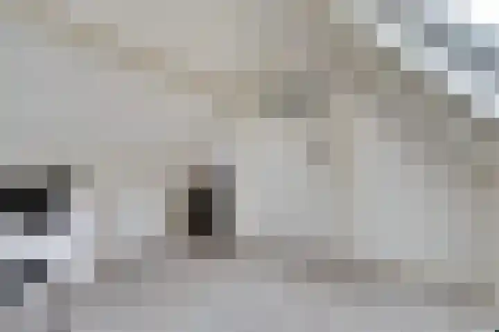 Aidalaan 25 Nieuwegein thumbnail 33