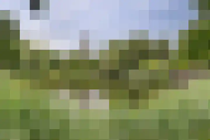 Aidalaan 25 Nieuwegein thumbnail 42